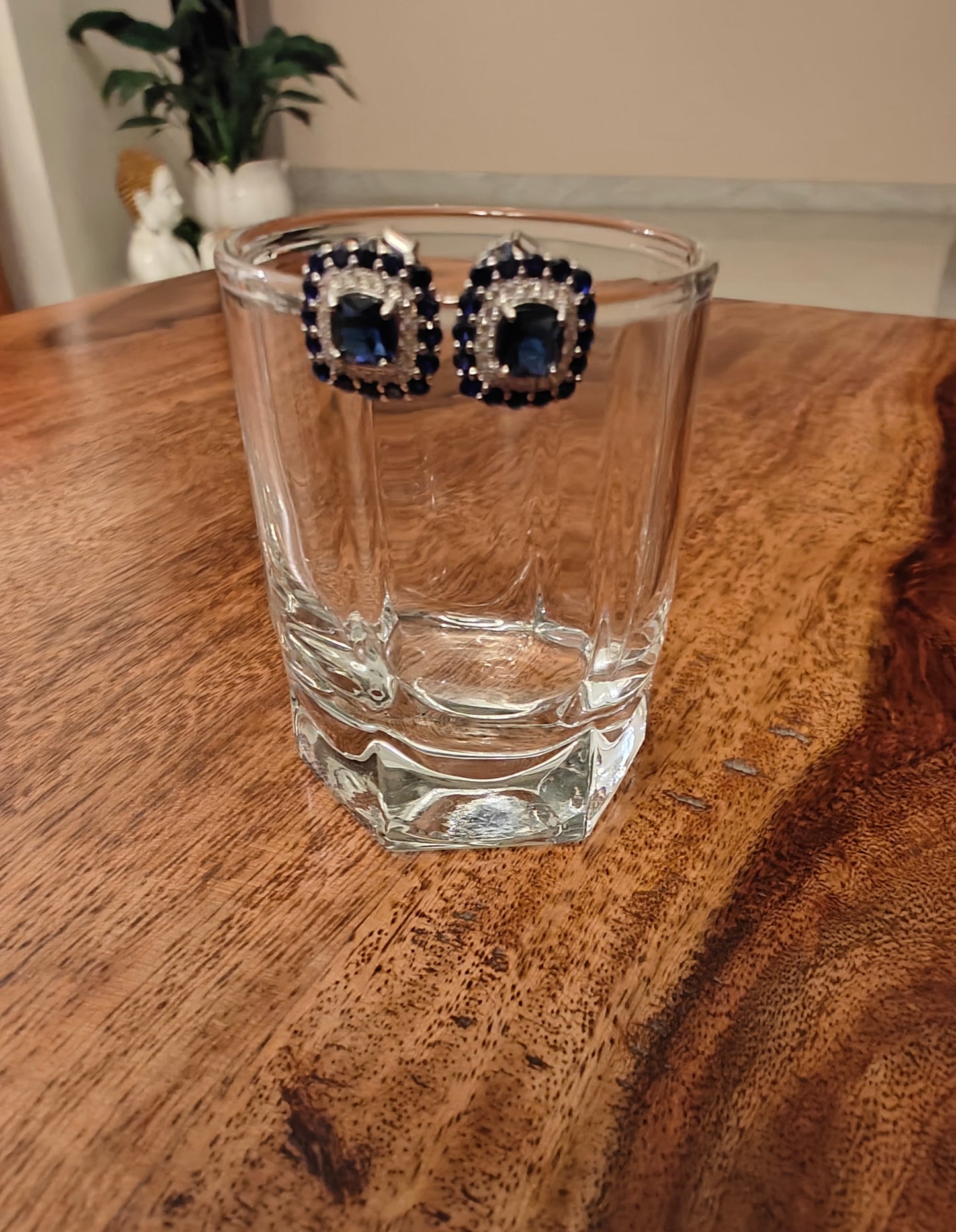 Sparkling Silver studs with coloured stone