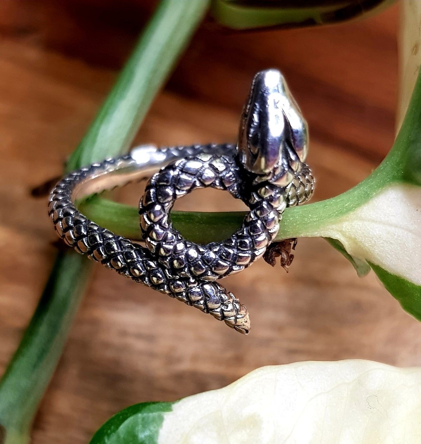 Silver ring, coiled snake design