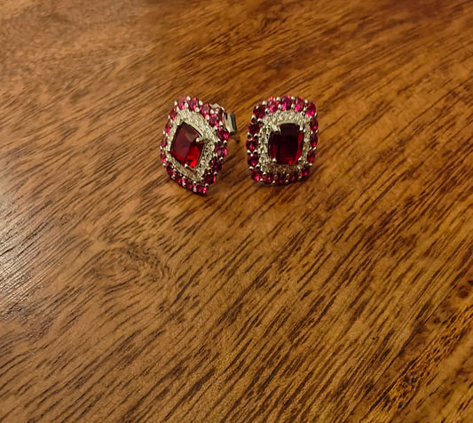 Sparkling Silver studs with coloured stone