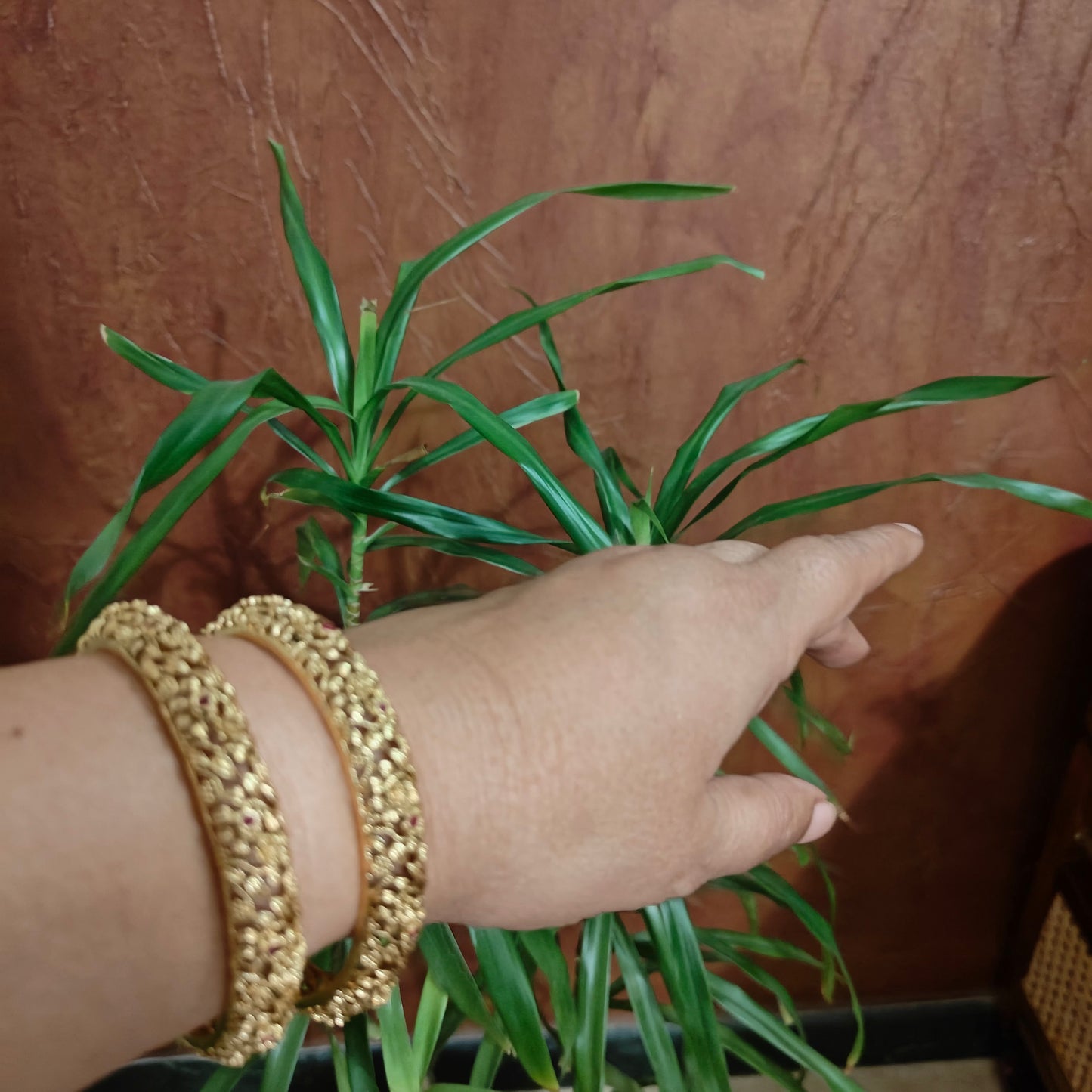 Golden bangles with intricate jali work(2pc)