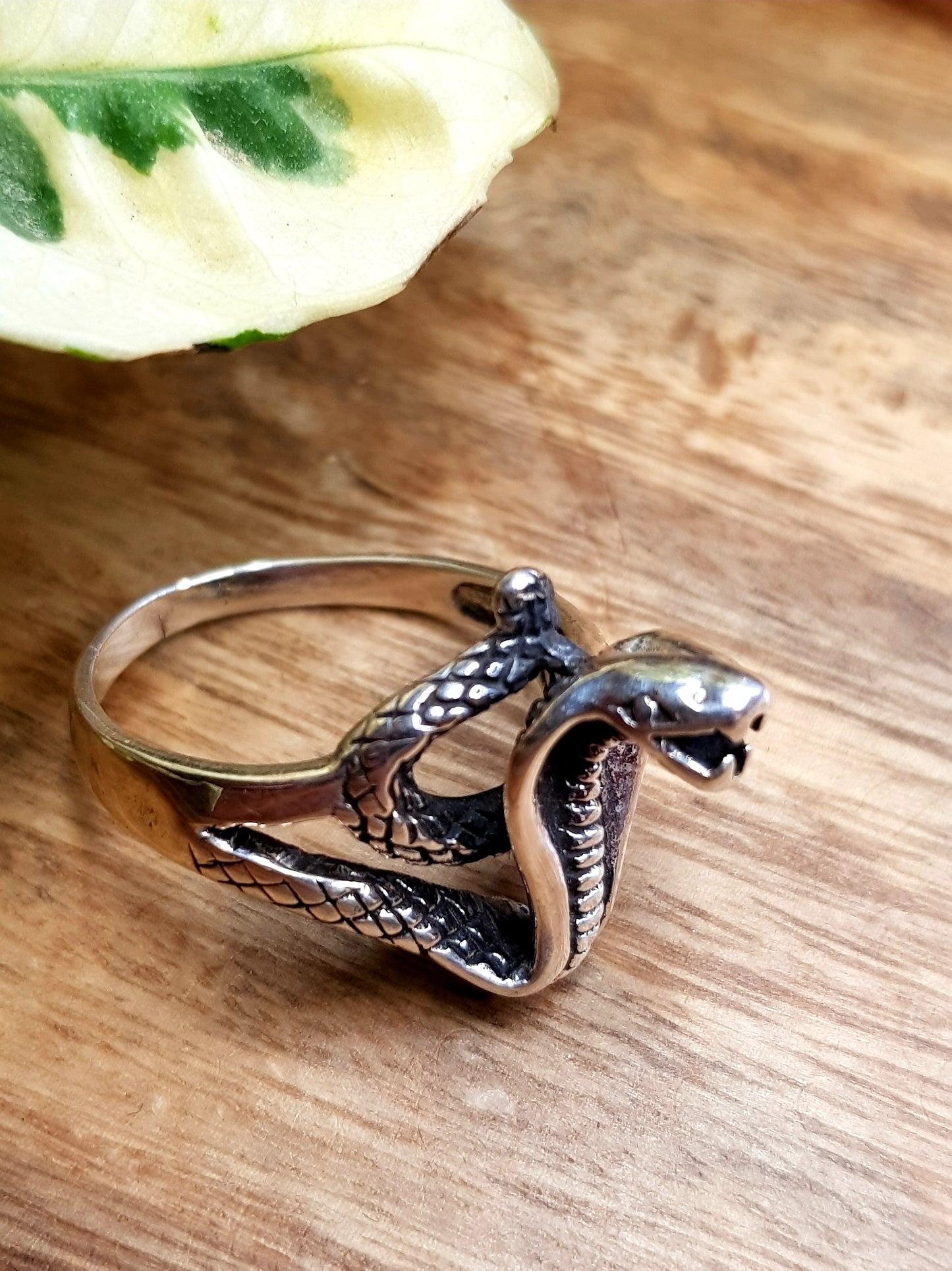 Silver ring, sitting cobra design