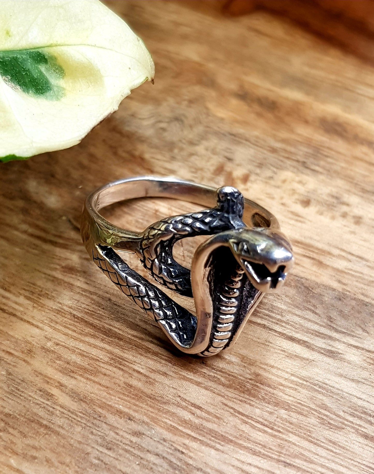 Silver ring, sitting cobra design